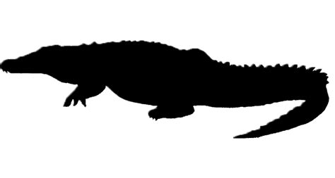 Crocodile Silhouette | Free download on ClipArtMag