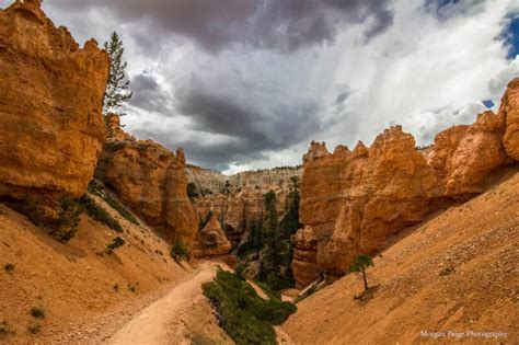 A Photography Adventure: Bryce Canyon National Park | World of Travel Photography