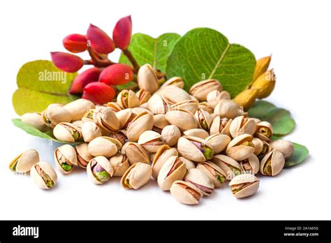 Raw Red pistachio nuts with green leaves on white background Stock Photo - Alamy