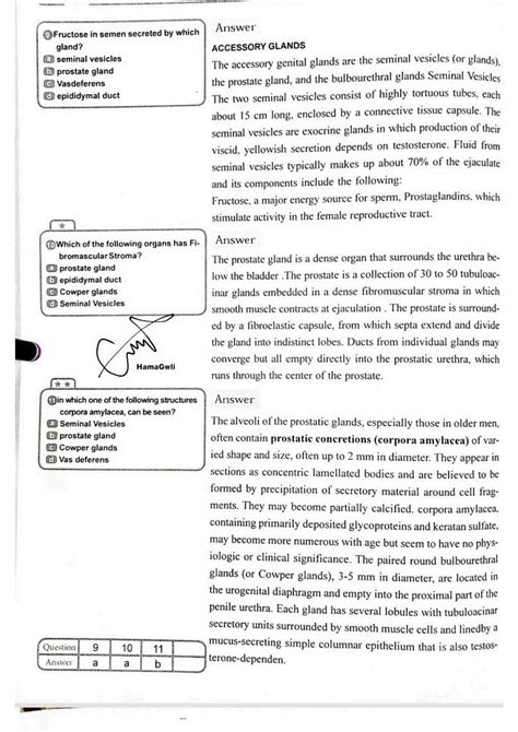 SOLUTION: Histology of reproductive system exam practise - Studypool