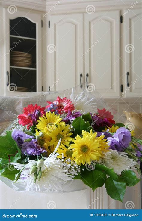 The apology stock image. Image of flowers, florist, birthday - 1030485