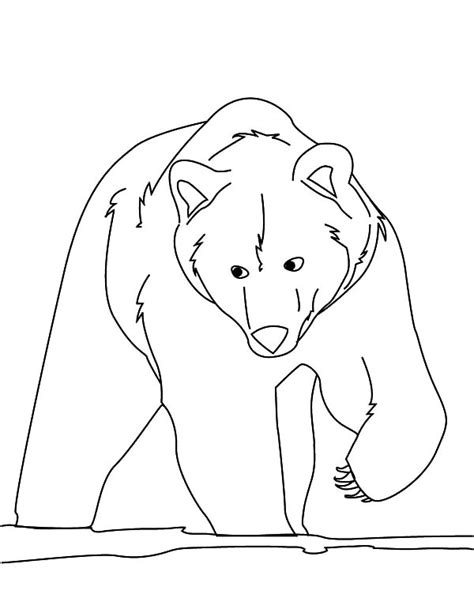 Hungry Brown Bear Coloring Pages : Best Place to Color | Bear coloring pages, Coloring pages ...