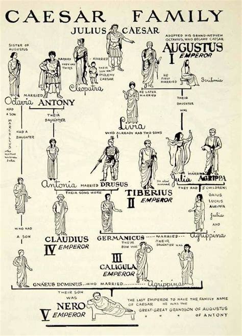 an ancient family tree is shown in black and white, with the names of ...