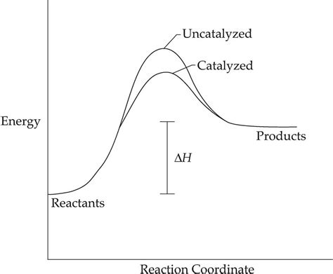 The Significance of Energy Diagrams in Understanding Chemical Reactions