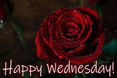 Happy Wednesday GIFs - 50 GIFs of Best Wednesday Wishes