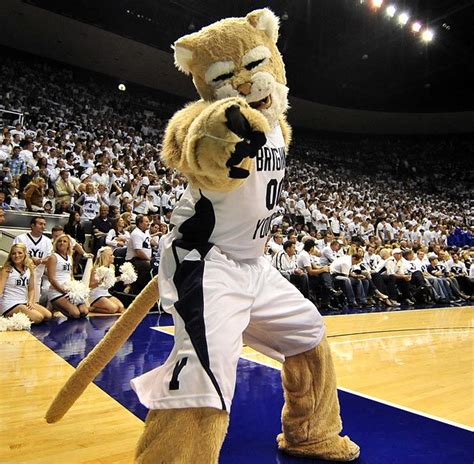 BYU Cougars | Byu cougars, Mascot, Sports