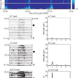 -Life cycle of longfin smelt, adapted from the Delta Regional Ecosystem... | Download Scientific ...