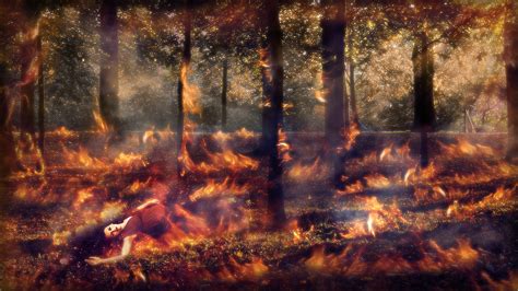 Burning Forest by ACitric on DeviantArt