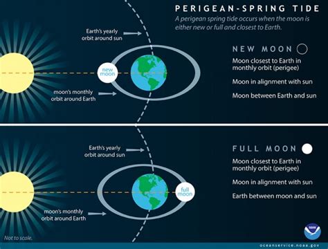 EarthSky | Tides, and the pull of the moon and sun