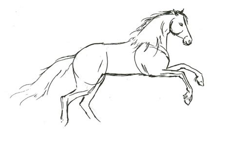 How To Draw Horses