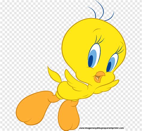 Tweety Bird Sylvester Looney Tunes, Bird, animals, leaf png | PNGEgg