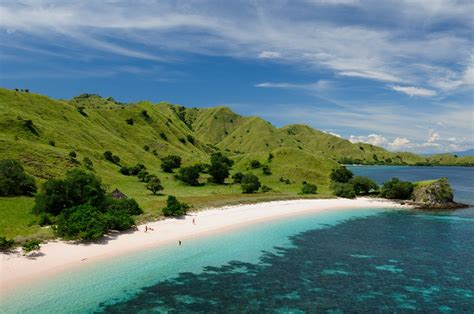 16 fun facts about Komodo National Park you probably don't know - Tips ...