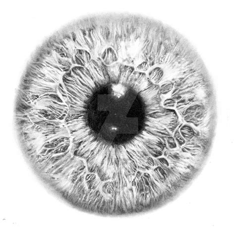 Iris eye by Joan95 on DeviantArt