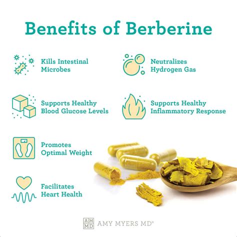 What Are Berberine Benefits For SIBO? Amy Myers MD, 49% OFF