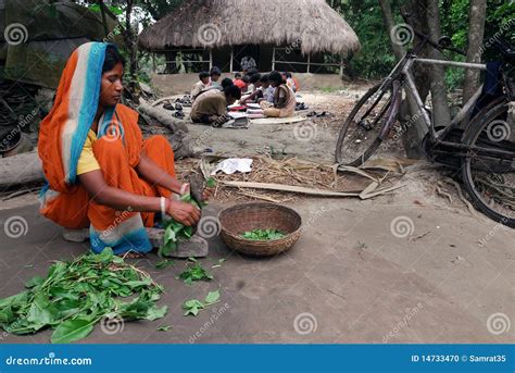 Indian Village Life Editorial Image - Image: 14733470