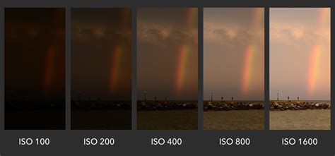 What is ISO? Understanding ISO for Beginners - Photography Life