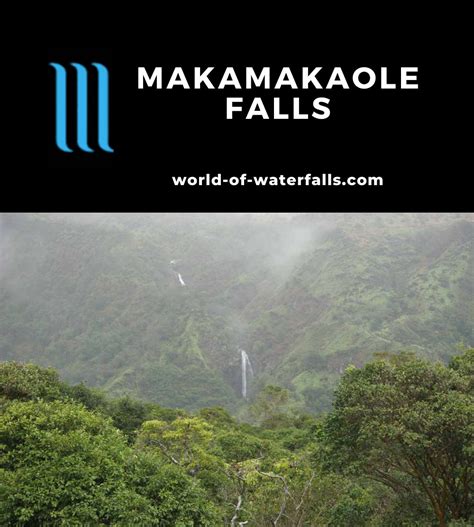 Makamakaole Falls - Waterfall seen from the Waihee Ridge Hike