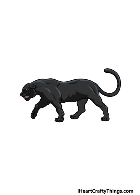 Panther Drawing - How To Draw A Panther Step By Step