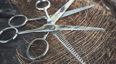 Hair Cutting Scissor Types | Cutting Shears: Convex, Beveled, Serrated - Japan Scissors USA