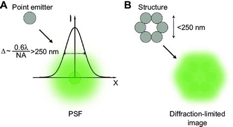 Resolution in conventional fluorescence microscopy. Notes: (A) Light ...