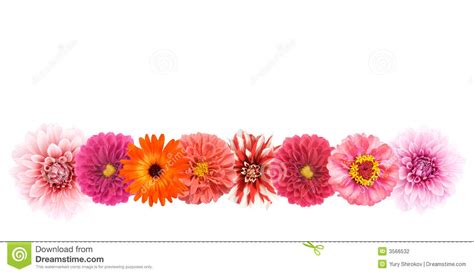 Free Flower Border Line Design, Download Free Flower Border Line Design png images, Free ...