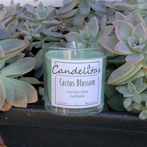 Cactus Blossom - Soy Wax Candle - Candelitas