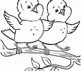 Filling Sketch Coloring Page sketch template