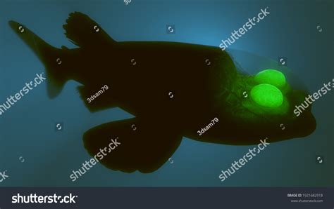 Deep Sea Barreleye Fish 3d Rendered Stock Illustration 1921682918