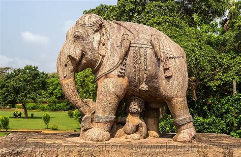 elephant sculpture, konark sun temple, india