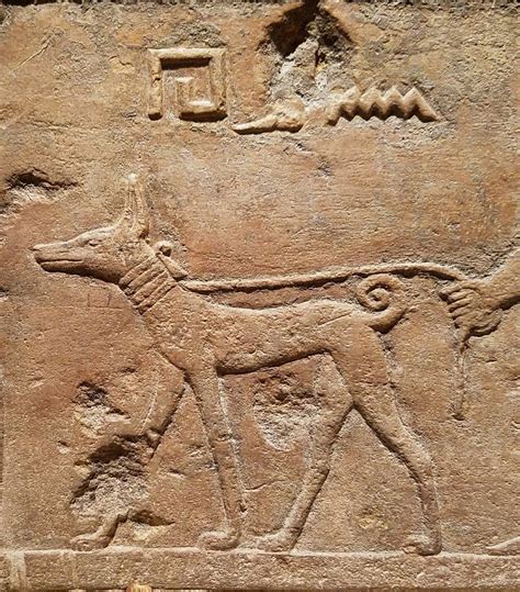 Little Angel's Dog Gone History of Art: Ancient Egypt And Dog Art