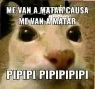 pipipi : r/MoaiGreddit