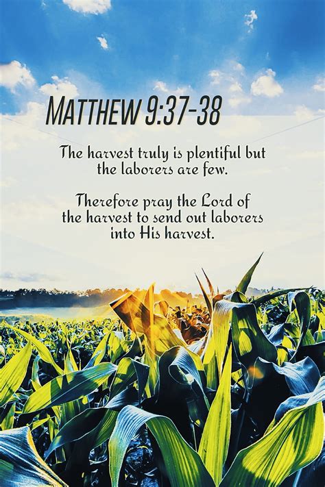 Lord of The Harvest, bible, bible scripture, christian, god, prayer, spiritual, HD phone ...