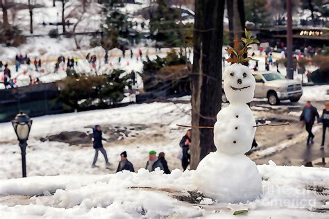 Central Park mini snowman toon Photograph by Liran Eisenberg - Fine Art America