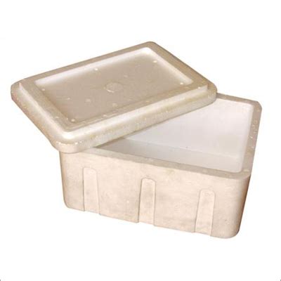 Thermocol Ice Box at Best Price in Vadodara, Gujarat | L. R. Deoomal ...