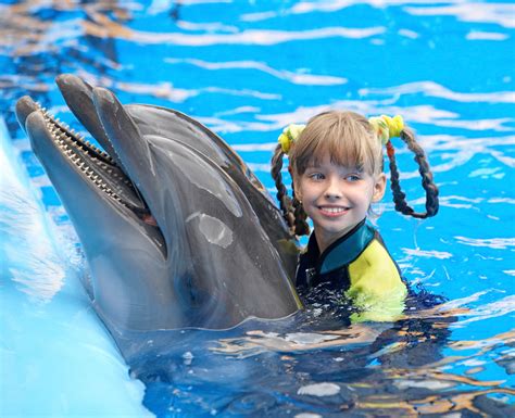 Swimming with Dolphins in Orlando - The Ultimate Holiday Experience