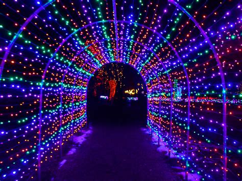 Colorado Christmas Lights 2024-2025 - Rove.me