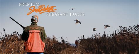 South Dakota Pheasant Hunting Lodges | Pheasant Hunting Outfitter Pierre, SD