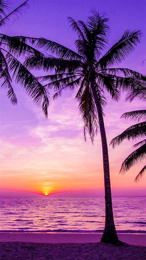 Beach Purple Wallpaper Download | MobCup