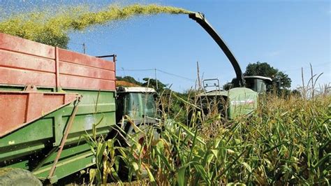 Ensilage, suivez l'avancement des récoltes par département