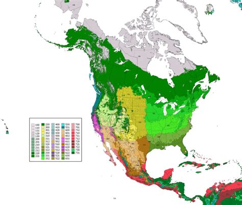 Vegetation Map Of North America - Cities And Towns Map