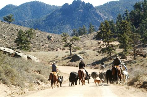 Cherokee Park Ranch - Colorado Dude & Guest Ranch Association - All ...