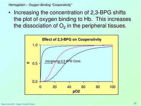 PPT - Oxygen Transport Proteins: Myoglobin & Hemoglobin PowerPoint Presentation - ID:3259967