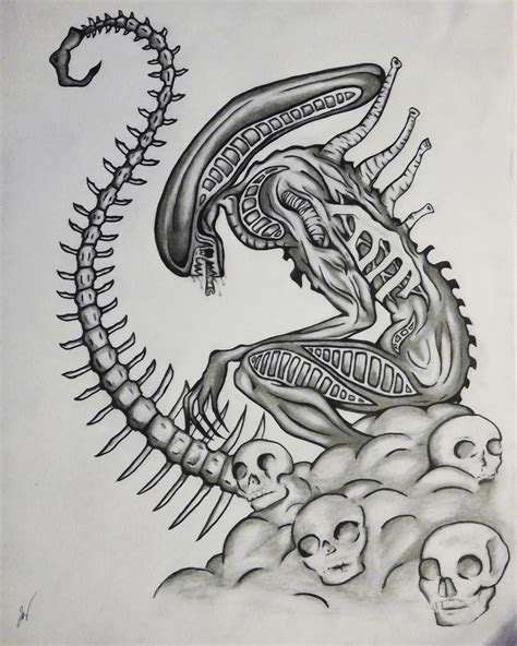 Xenomorph Drawing at PaintingValley.com | Explore collection of ...