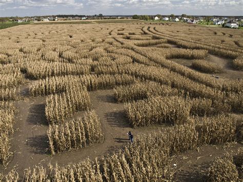 Richardson Corn Maze 6 | Sunday, October 26, 2008 Richardson… | Flickr