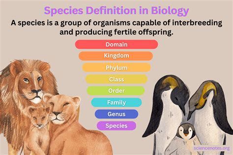 Species Definition and Examples in Biology