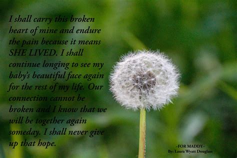 I will never lose hope #childloss #quotes #grievingmother #griefquote | Grieving mother, Grief ...