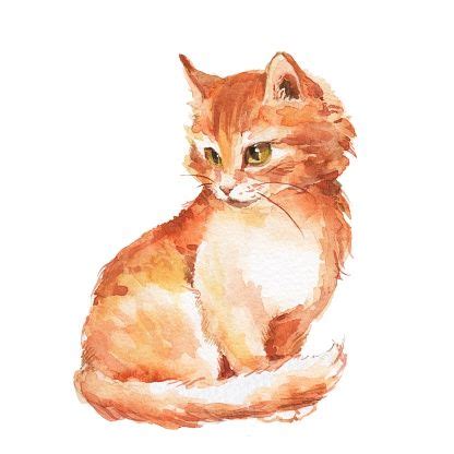 Ginger Cat Clip Art, Vector Images & Illustrations - iStock Ginger Cat Art, Ginger Cats, Cat ...