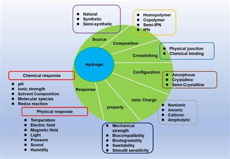 Figure 1 from Hydrogels: Properties and Applications in Biomedicine | Semantic Scholar