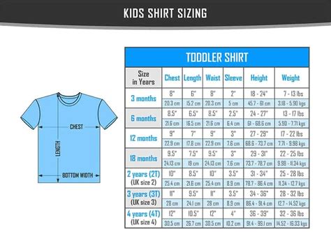 Kids Shirt Sizes (Chart) - VerbNow