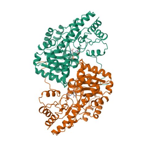 RCSB PDB - 1IVR: STRUCTURE OF ASPARTATE AMINOTRANSFERASE